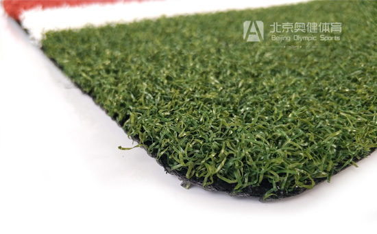 門球場草皮細節圖